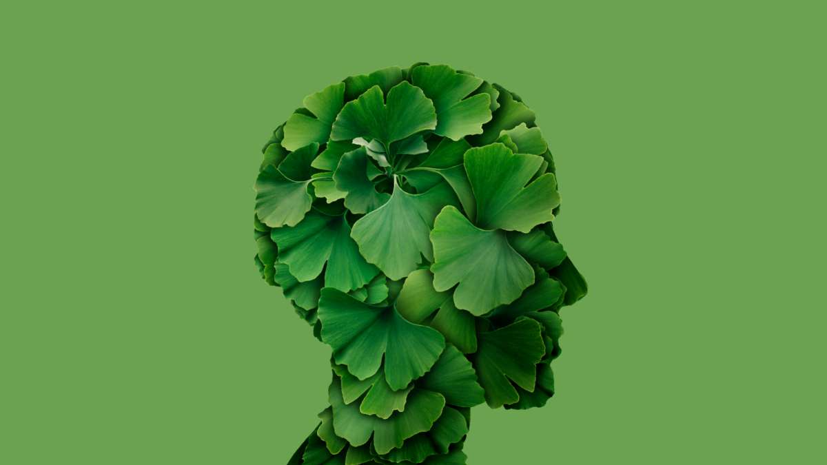 Does Ginkgo Biloba Improve Cognitive Function? Facts &amp; Benefits