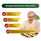Thomson Activated Ginkgo Extract