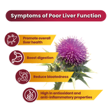 Pa's Bundle - Daily Circulation and Liver Care